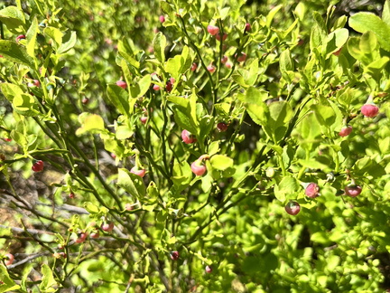 23-05-27 10-58-23 5723